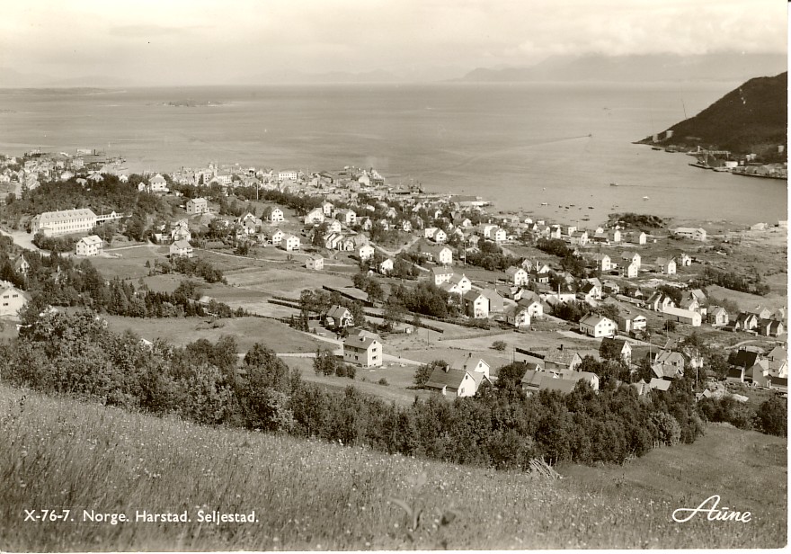 Gullhaugen og Seljestad